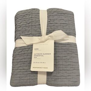 Pottery Barn Ultimate Summer Essential Quilted Sham Chambray Euro